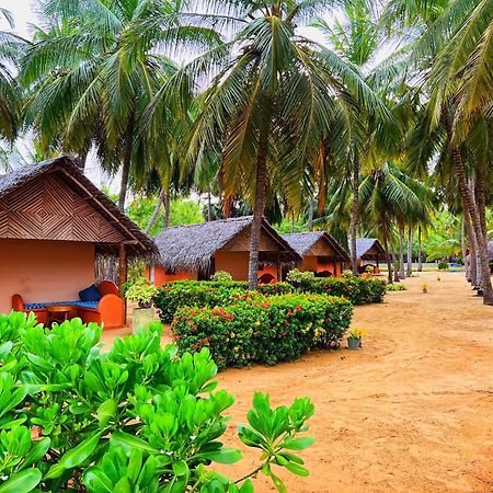 Roshanne Beach Resort كالبيتيا المظهر الخارجي الصورة