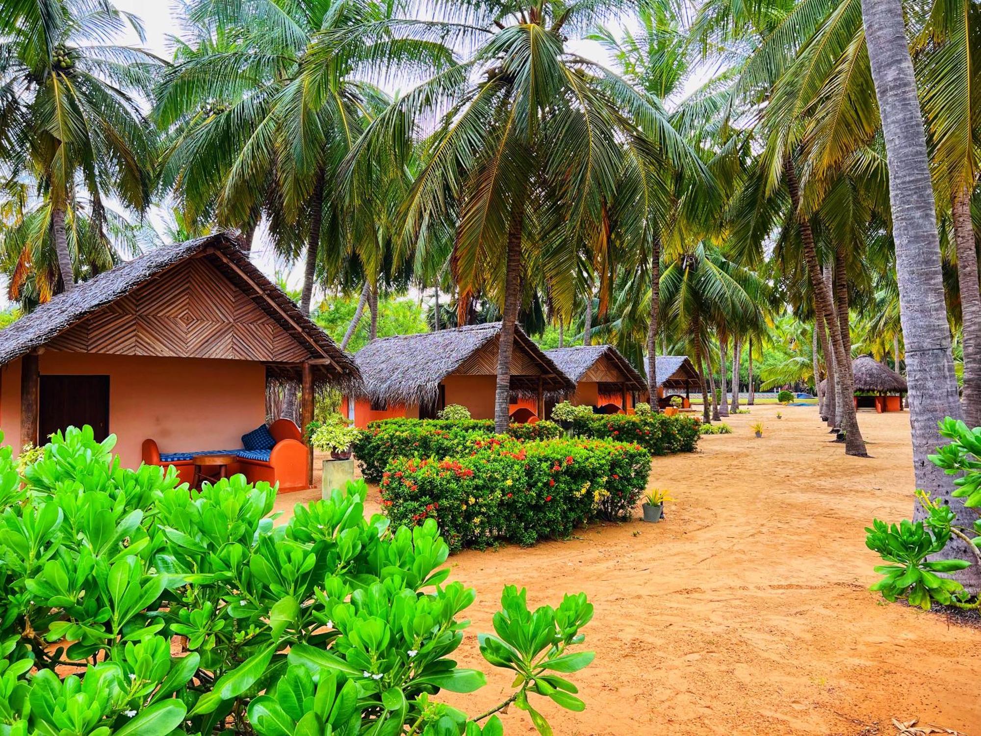 Roshanne Beach Resort كالبيتيا المظهر الخارجي الصورة
