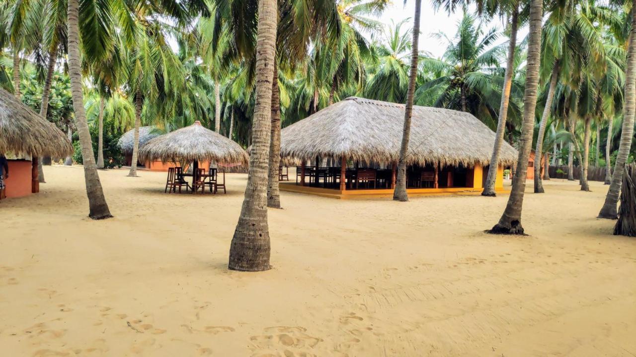 Roshanne Beach Resort كالبيتيا المظهر الخارجي الصورة