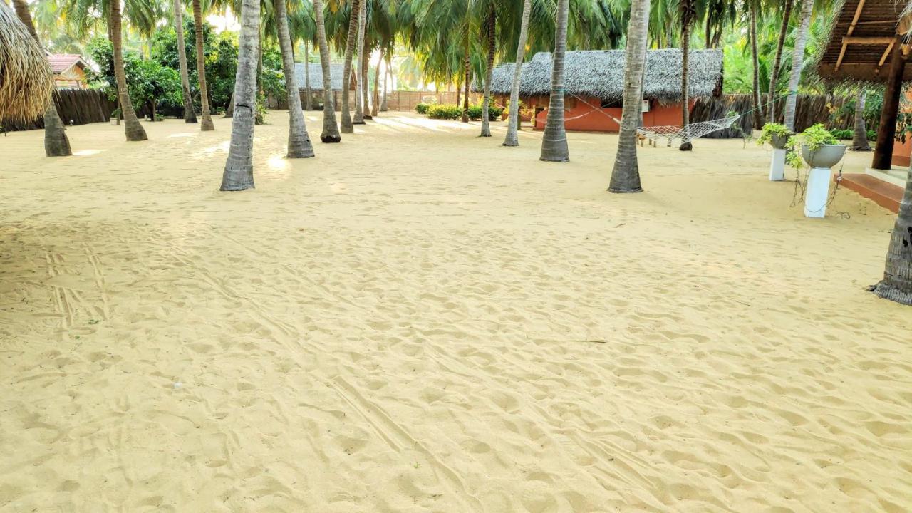 Roshanne Beach Resort كالبيتيا المظهر الخارجي الصورة