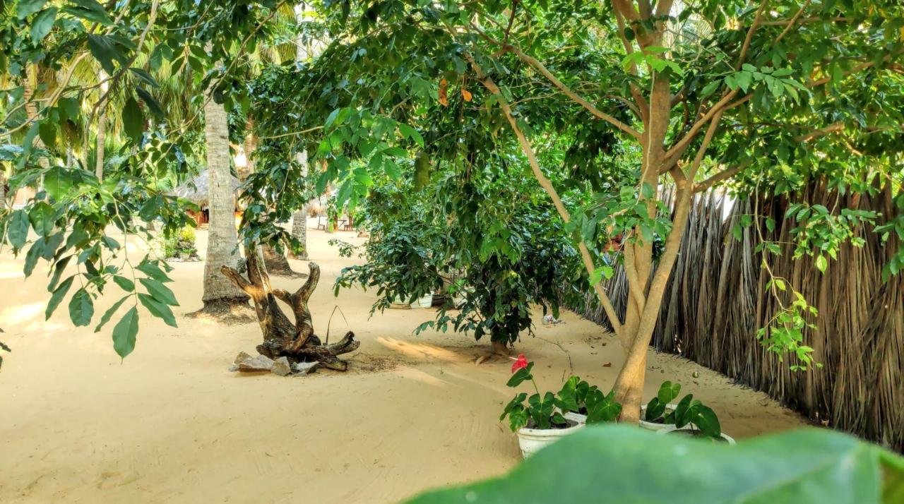 Roshanne Beach Resort كالبيتيا المظهر الخارجي الصورة