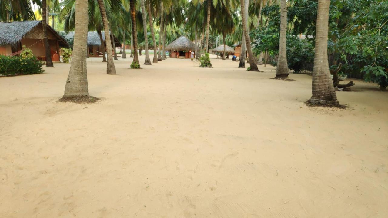 Roshanne Beach Resort كالبيتيا المظهر الخارجي الصورة
