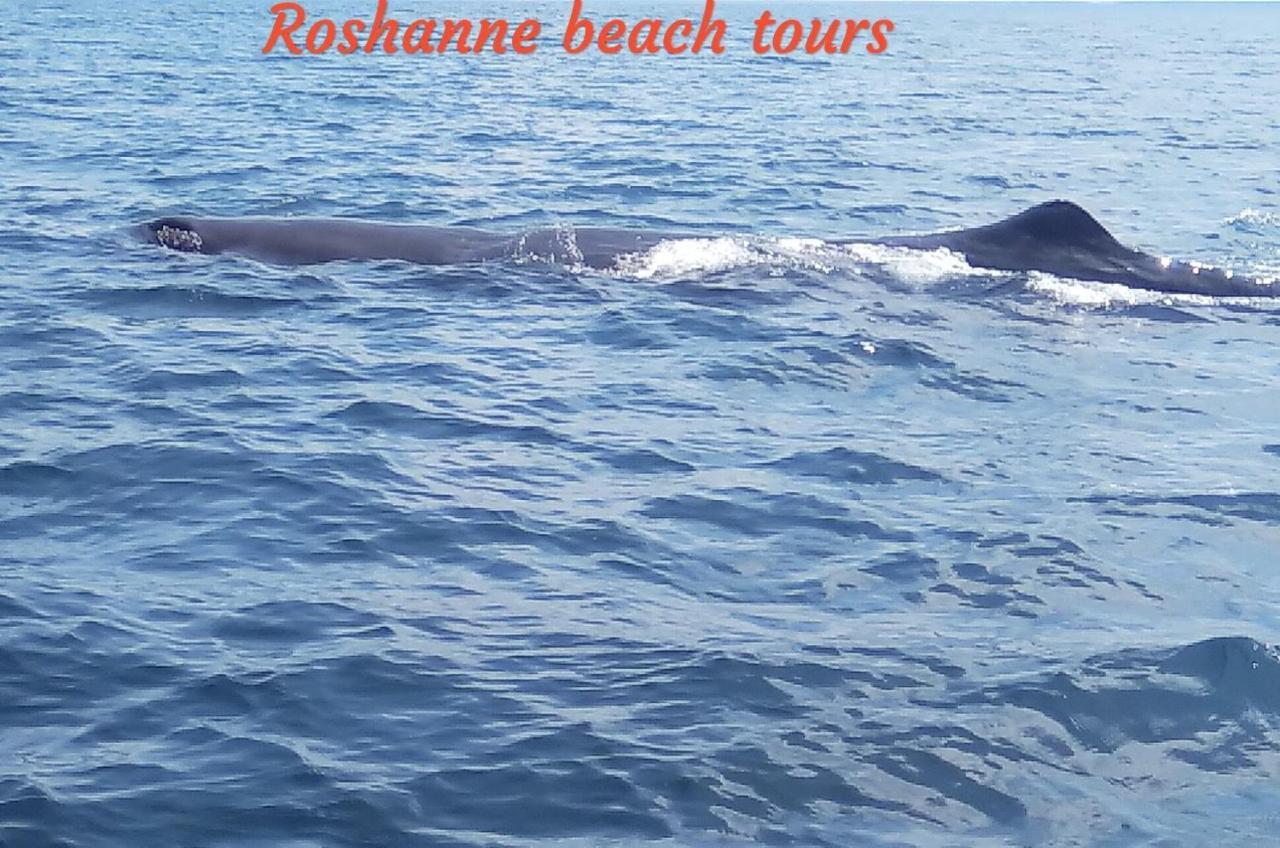 Roshanne Beach Resort كالبيتيا المظهر الخارجي الصورة
