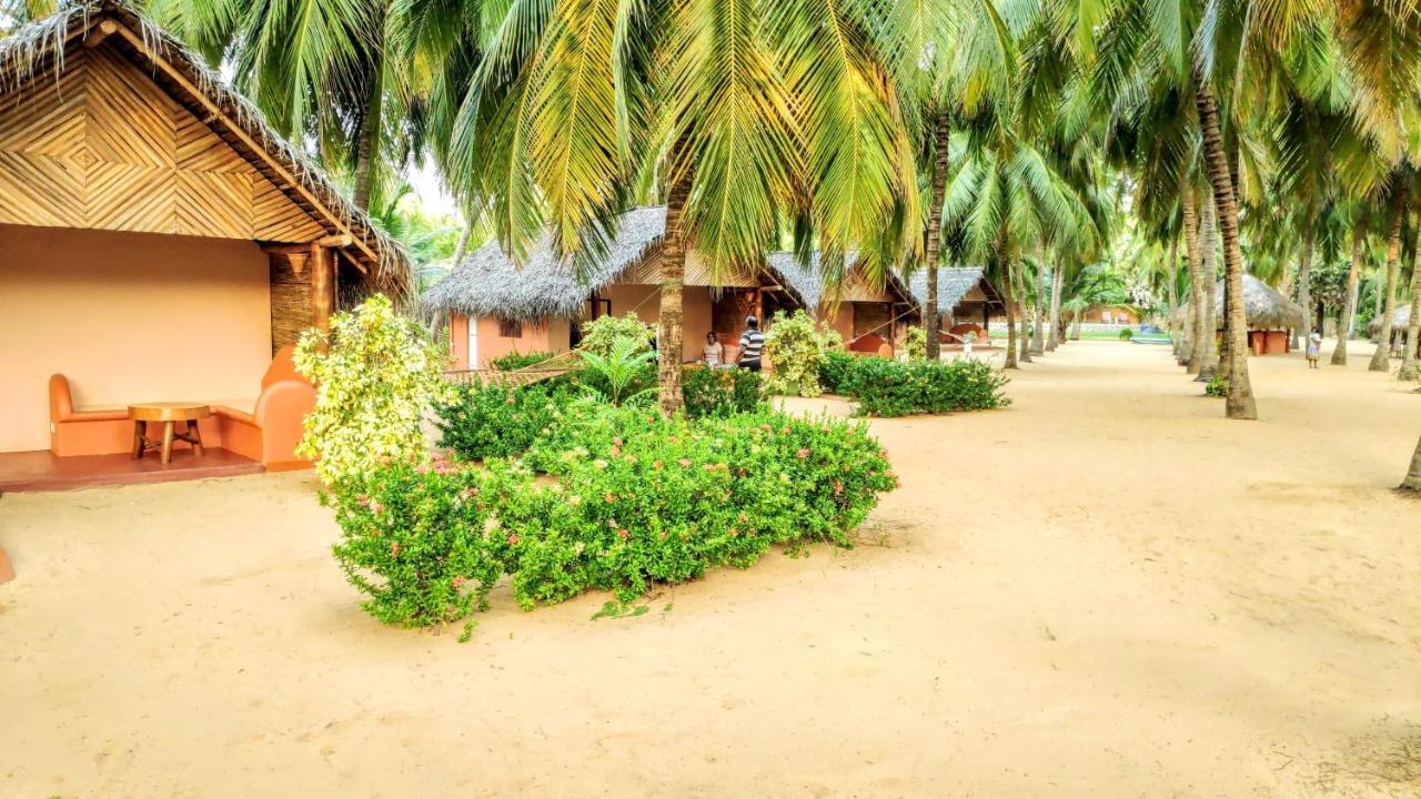 Roshanne Beach Resort كالبيتيا المظهر الخارجي الصورة