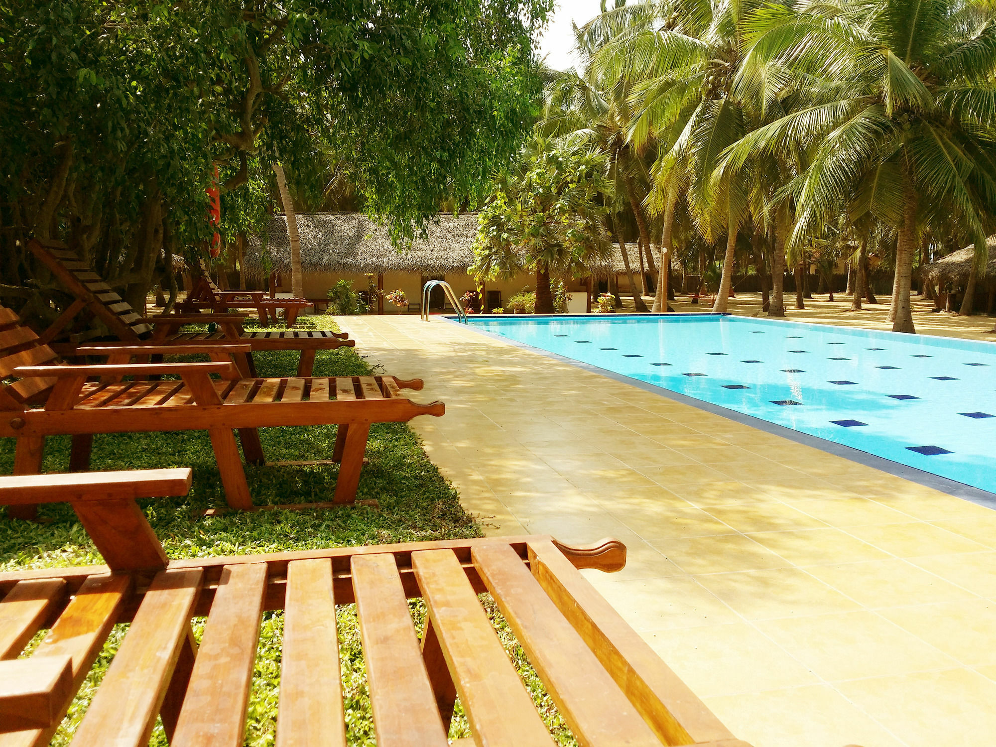 Roshanne Beach Resort كالبيتيا المظهر الخارجي الصورة
