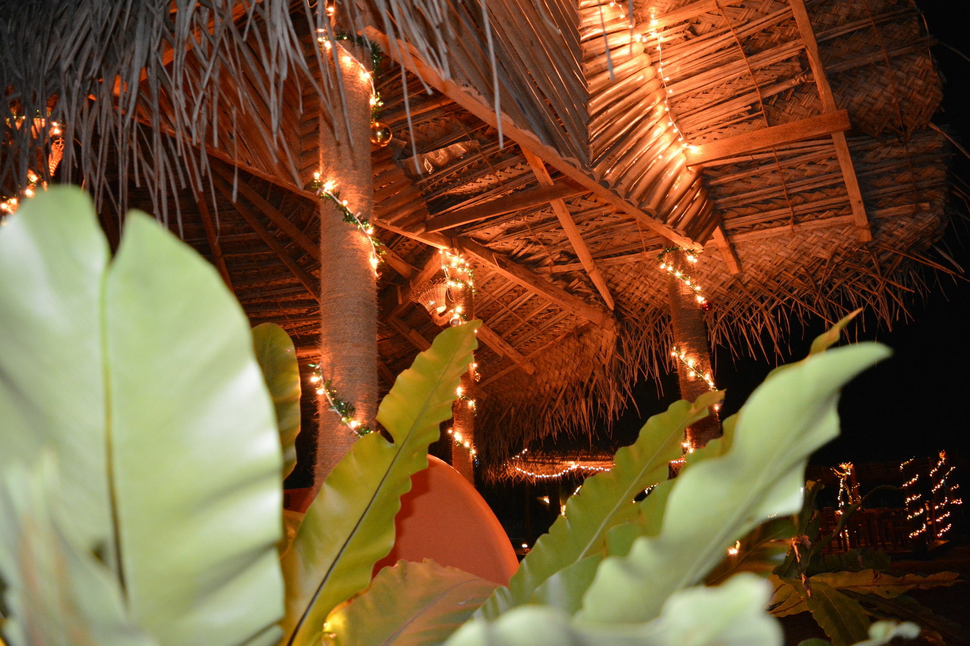 Roshanne Beach Resort كالبيتيا المظهر الخارجي الصورة